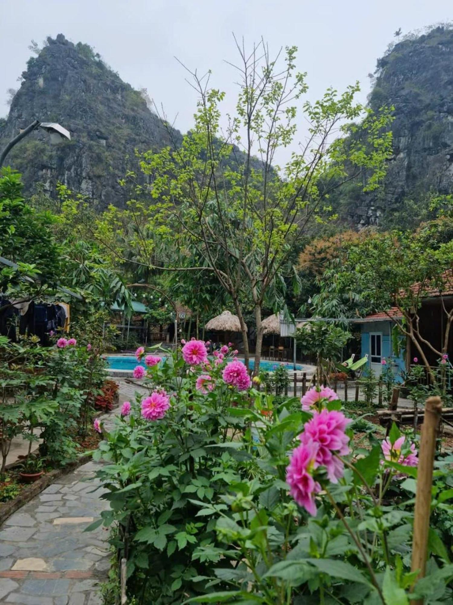 Hoalu Backpacker Homestay Ninh Binh Eksteriør bilde